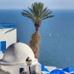 plakats_tunisija