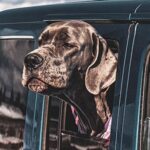 Evija Mugina: Aktuālā tiesu prakse publisko iepirkumu lietās